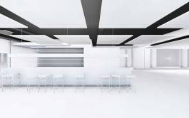 Architect FX Wuhrer